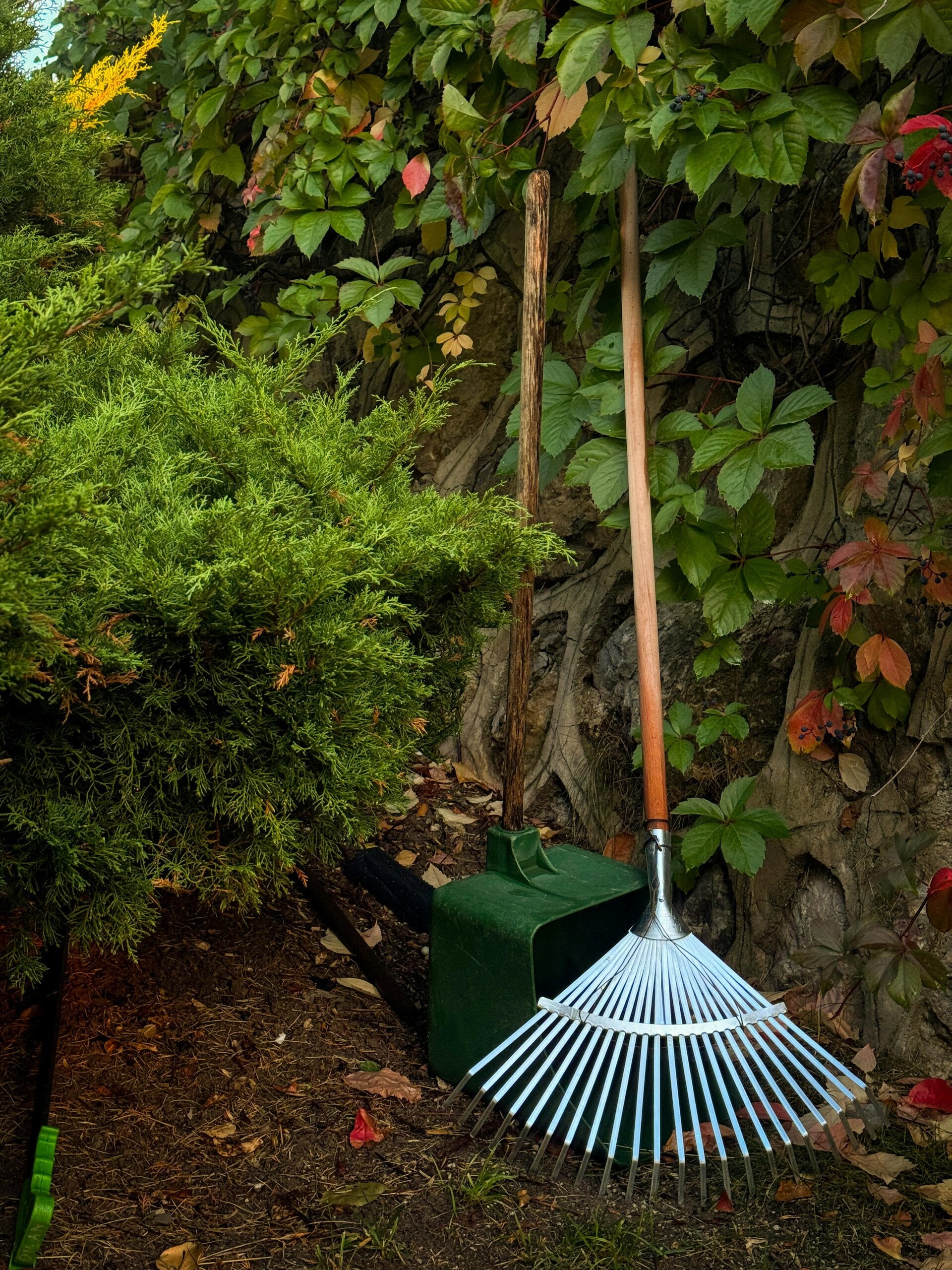 Entretien annuel de jardin – Nova Garden SA, Neuchâtel