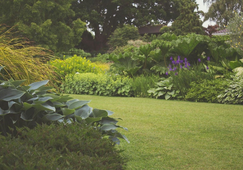 Jardin