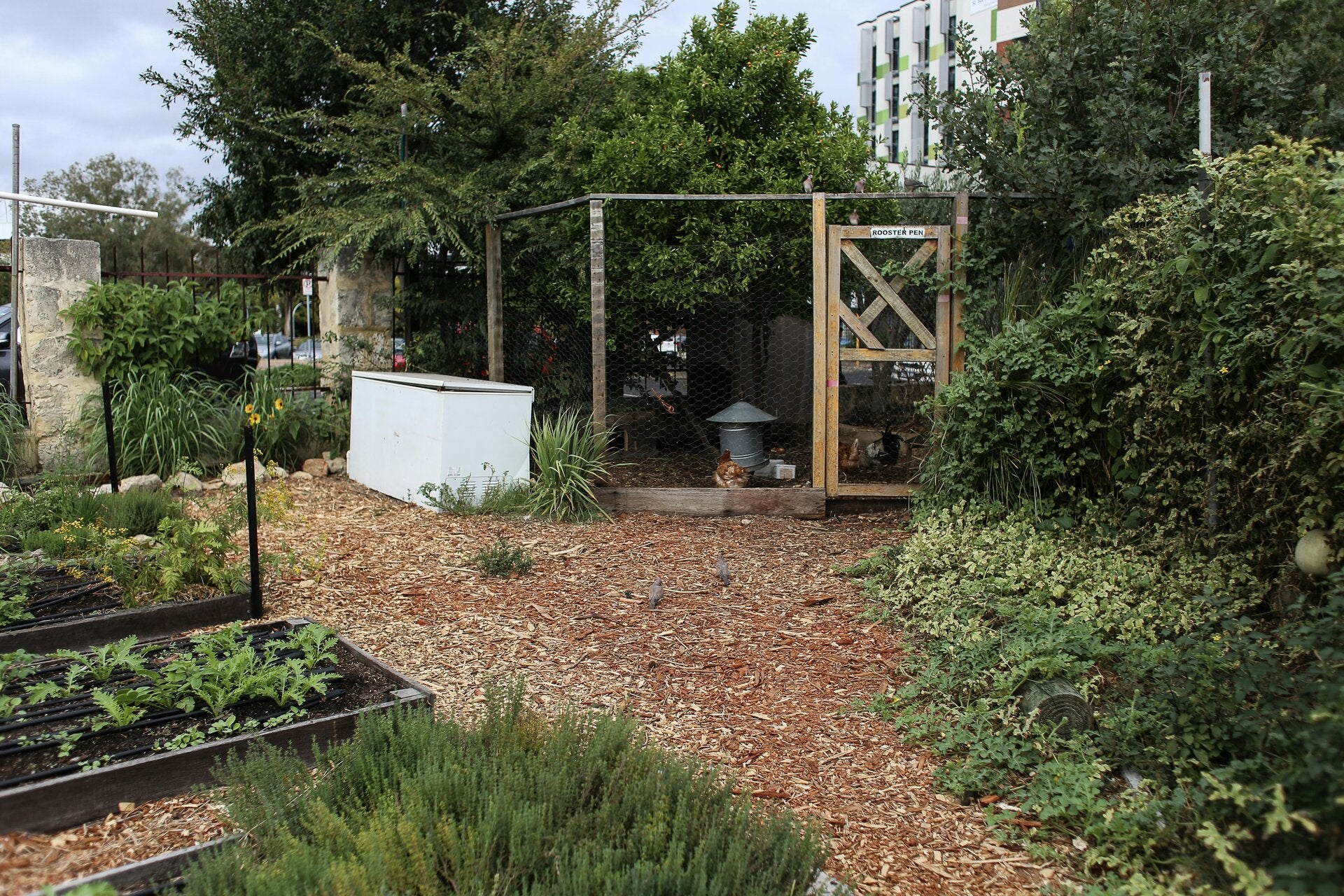 Vos espaces verts, notre expertise