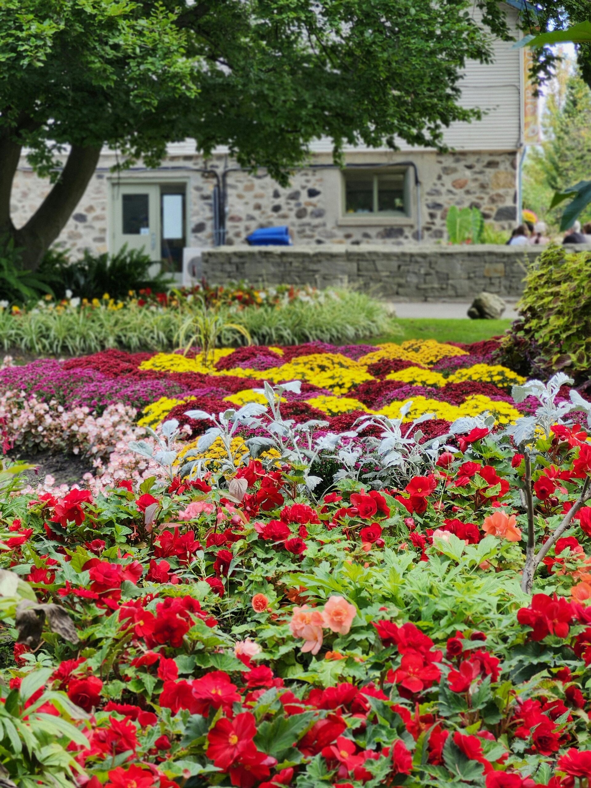 Réalisation Nova Garden SA, paysagiste à Neuchâtel