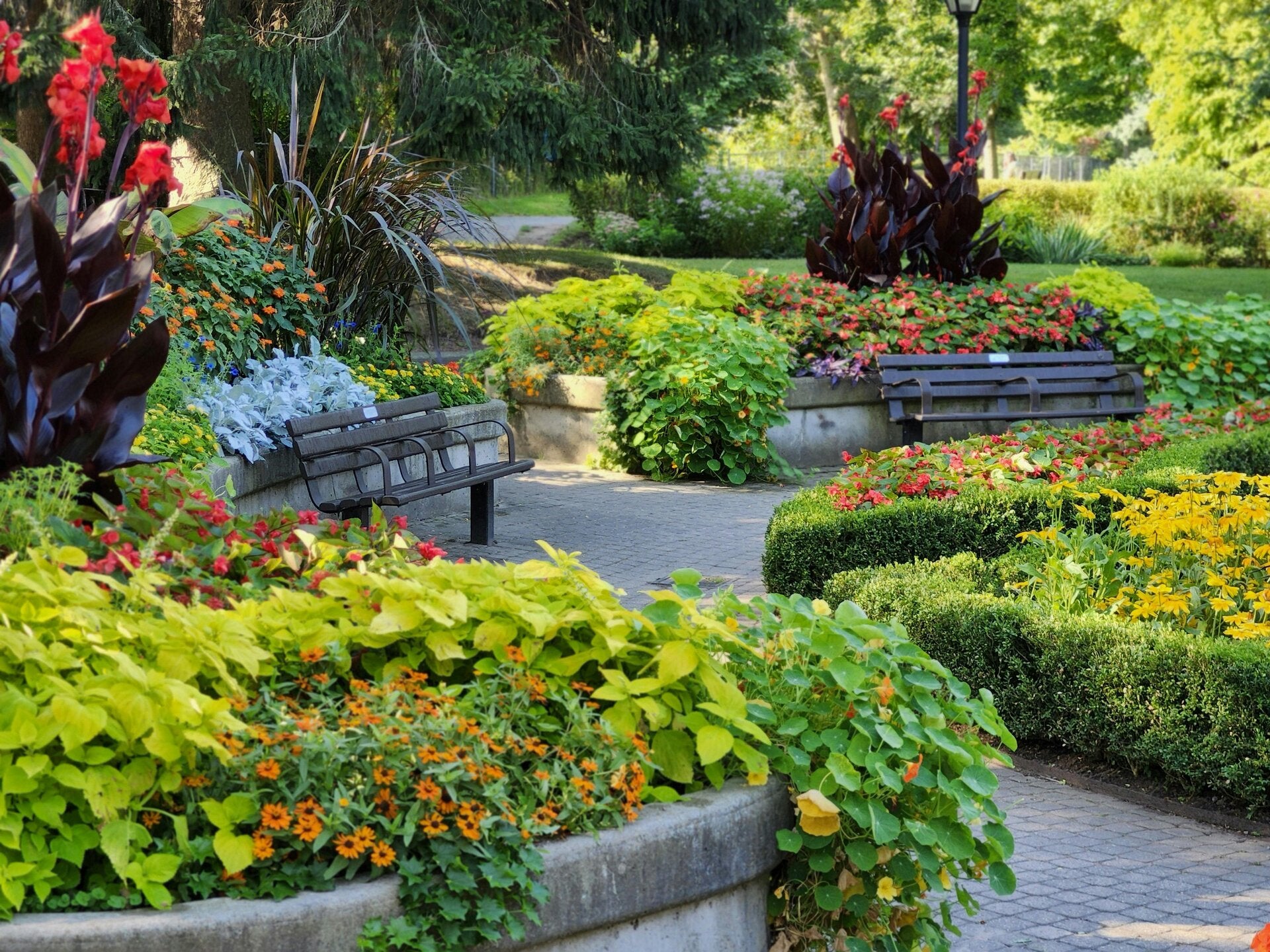 Réalisation Nova Garden SA, paysagiste à Neuchâtel