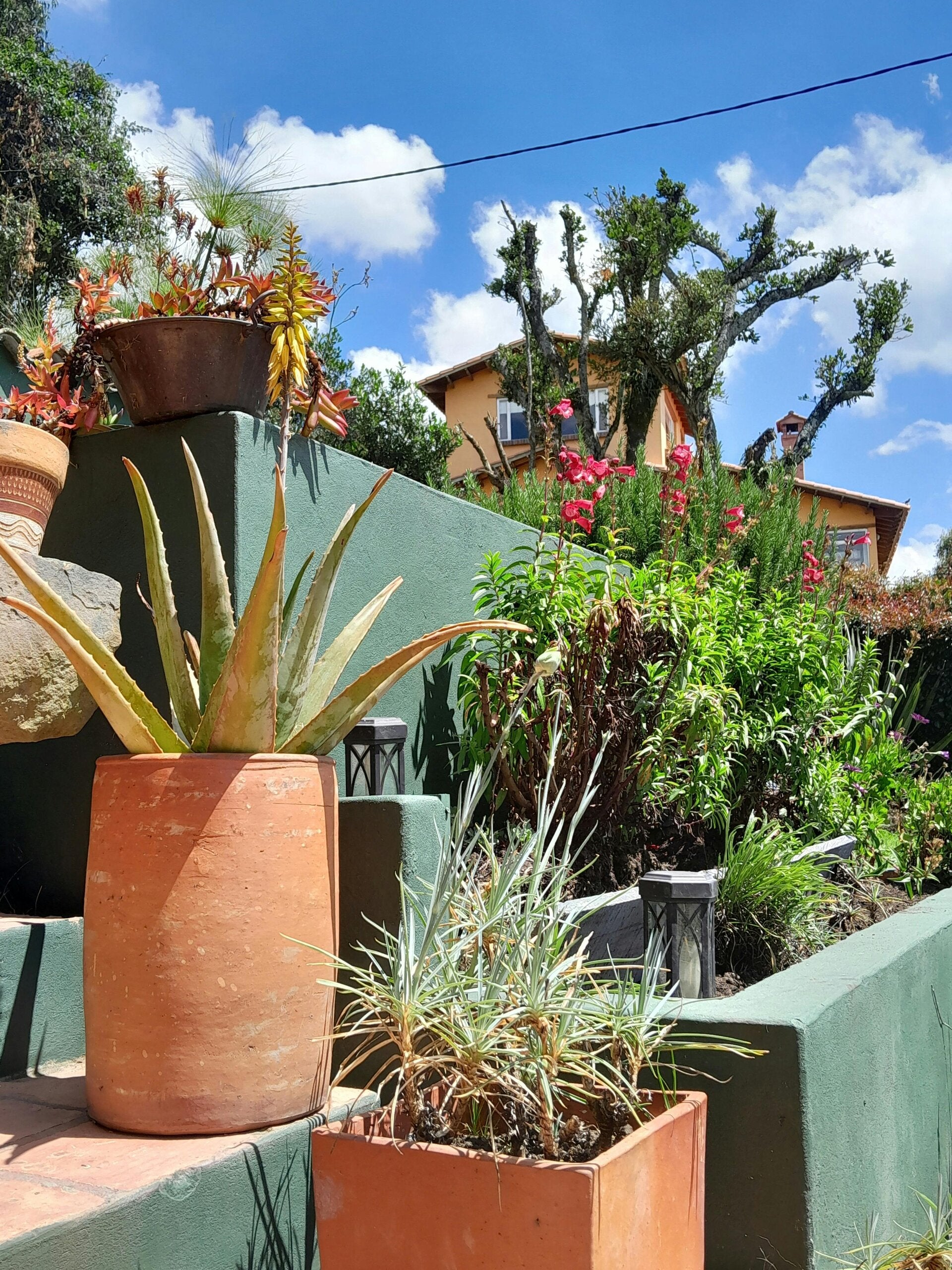 Réalisation Nova Garden SA, paysagiste à Neuchâtel