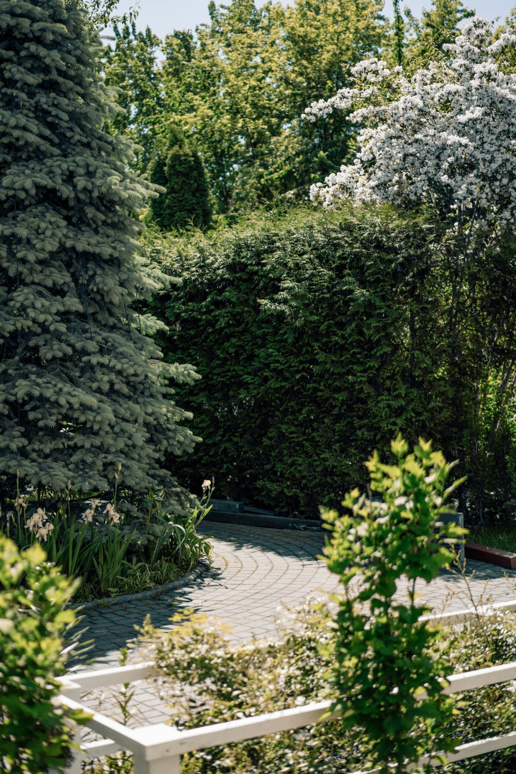 Réalisation Nova Garden SA, paysagiste à Neuchâtel